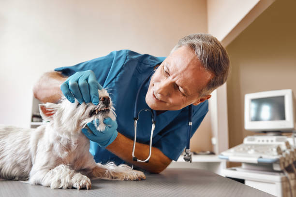 Best Emergency Root Canal Treatment in Leisure Village, NJ