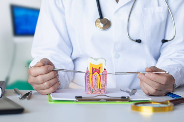 Best Urgent Dental Care for Toothache in Leisure Village, NJ